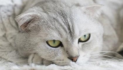 以太坊ETH_以太坊交易所_以太坊中国