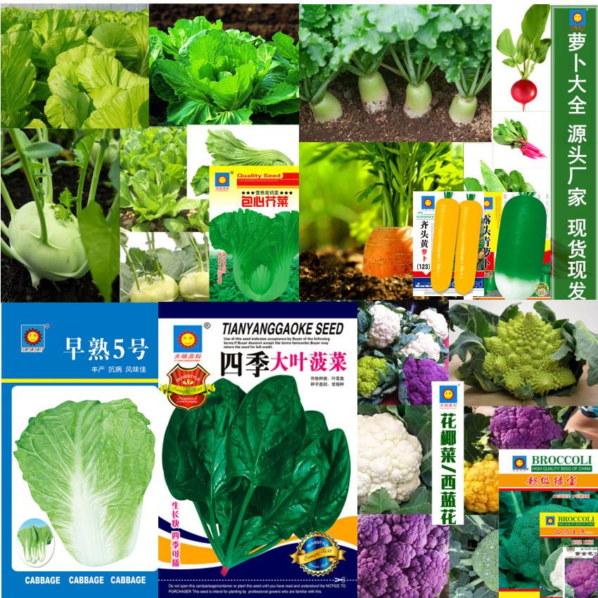 菠菜理财员工(菠菜公司怎么盈利)