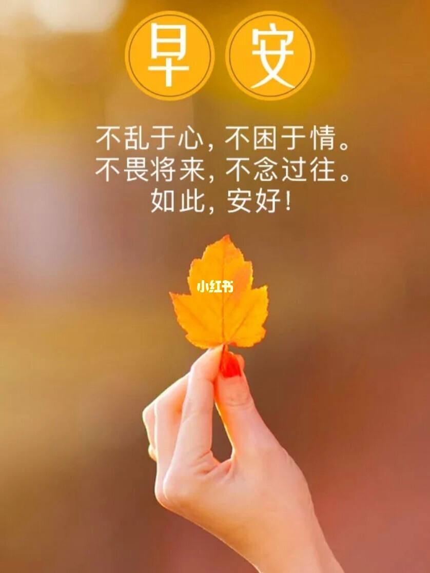 理财早安语(正能量早安语)