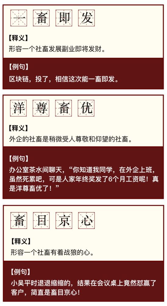社畜理财(社畜是啥意思)