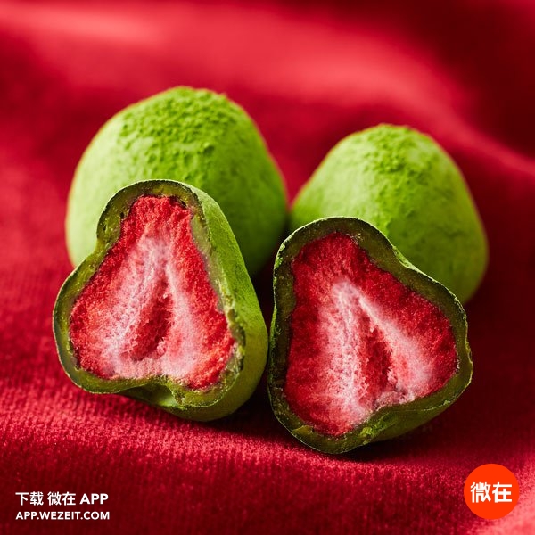 抹茶交易APP下载(抹茶交易app下载官网)