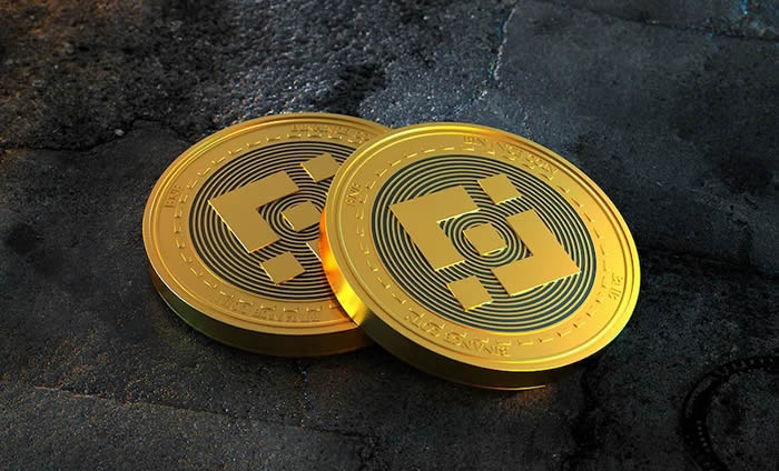 BNB交易所投资(bnb交易所app下载)