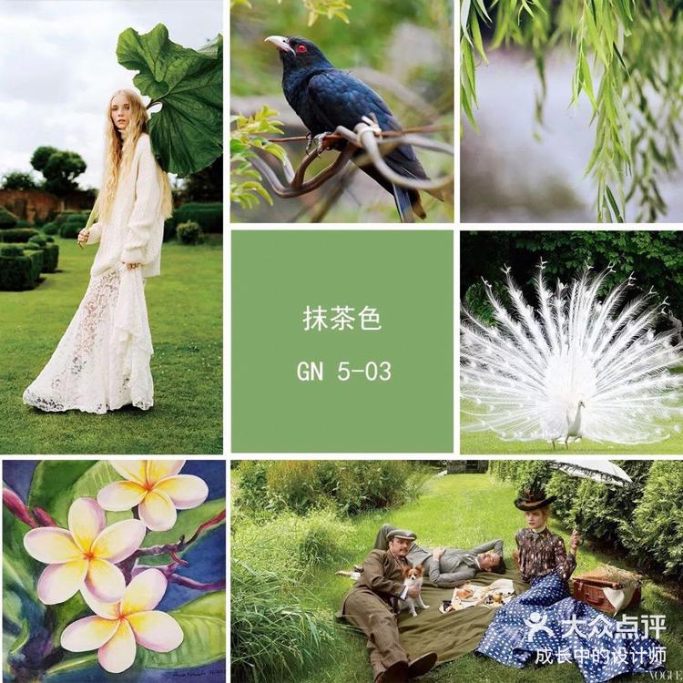 抹茶交易APP下载(抹茶交易所app下载地址)