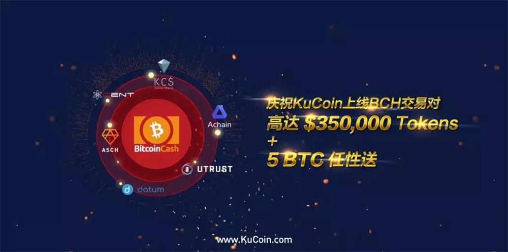 比特现金交易网站(比特现金bch最新消息)