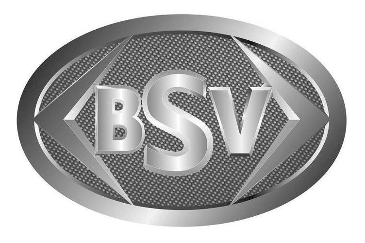 BSV交易平台(BSV交易平台有哪些)