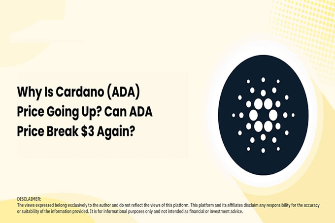 ADA交易所投资(adaf交易平台怎么样)