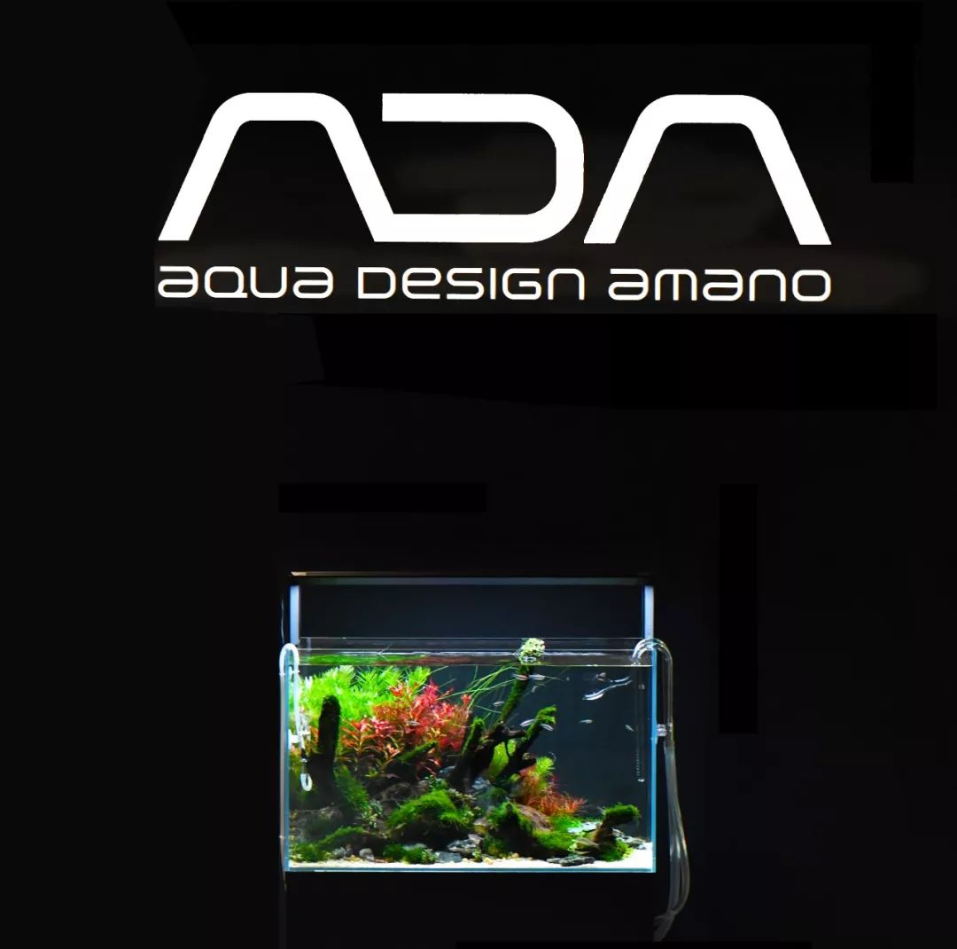 ADA交易官网(adaf交易平台怎么样)