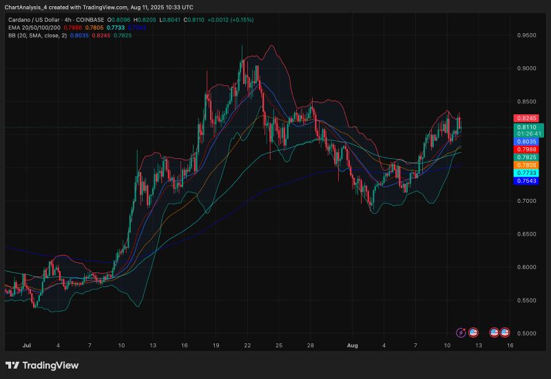 艾达币交易所投资(艾达币交易中国有吗)