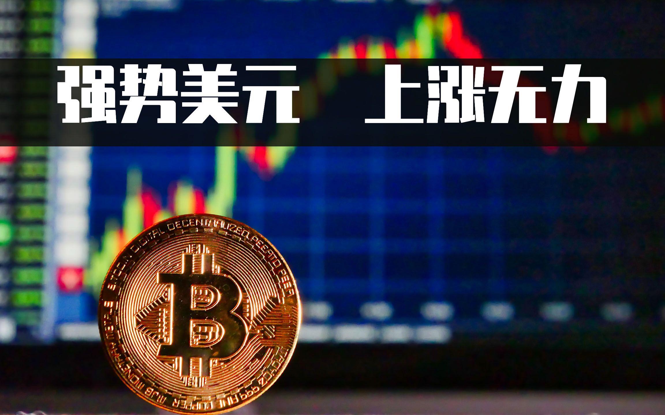 比特现金交易网站(比特现金目前价格是多少)