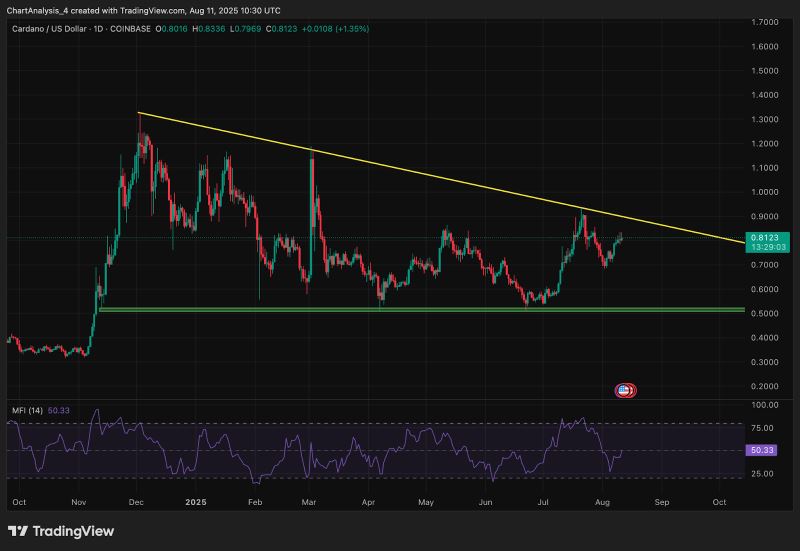 关于ADA-艾达币交易所交易平台的信息