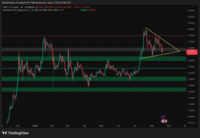 XRP交易平台(xrp交易平台app)