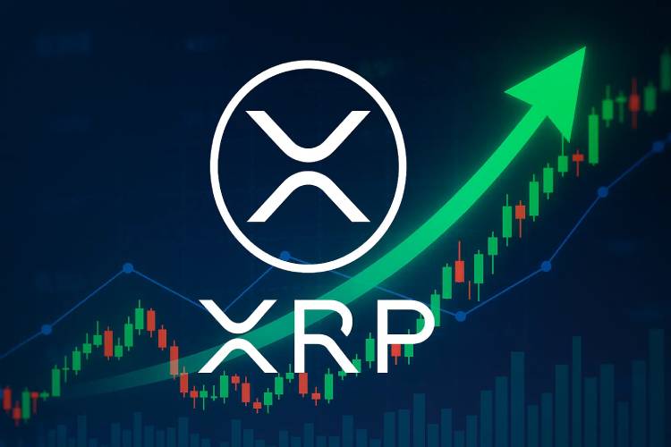 XRP交易平台(xrp币价格今日行情非小号)