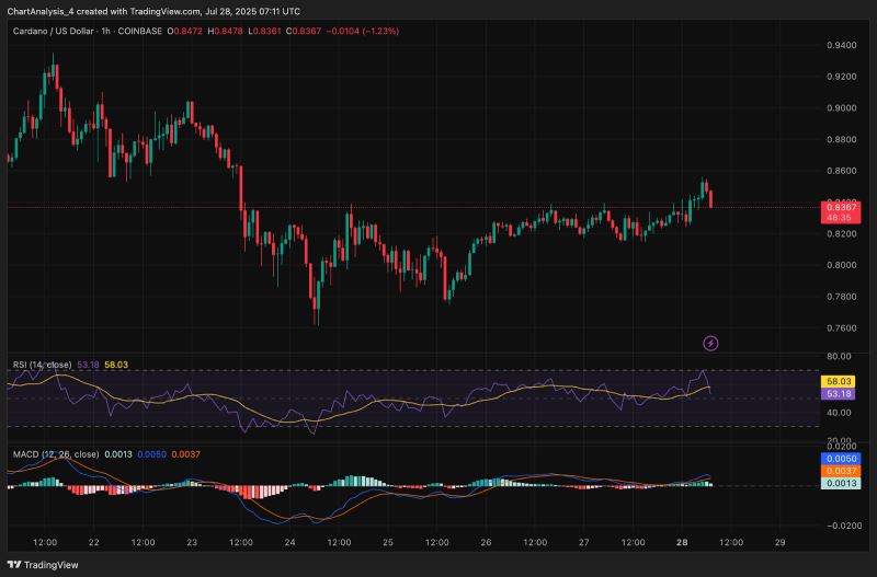 ADA交易平台(ada价格今日行情走势)