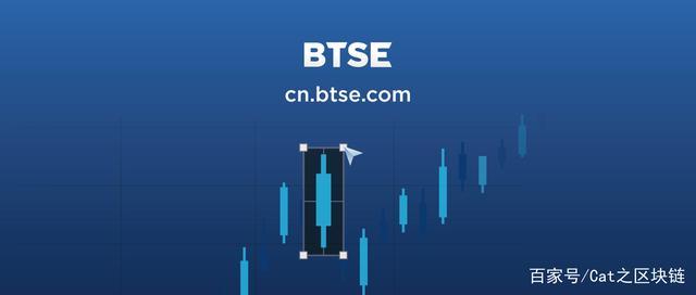 BSV交易官网(bsv币骗局最新消息2020年)