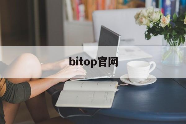 bitop官网(bitspirit 官网)