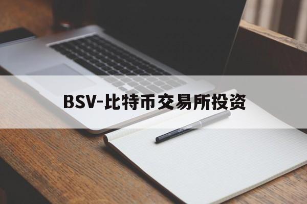 关于BSV-比特币交易所投资的信息
